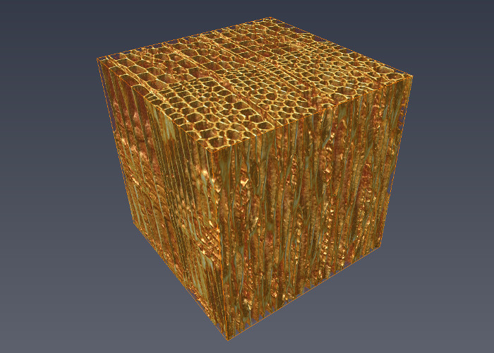 wood_tissue